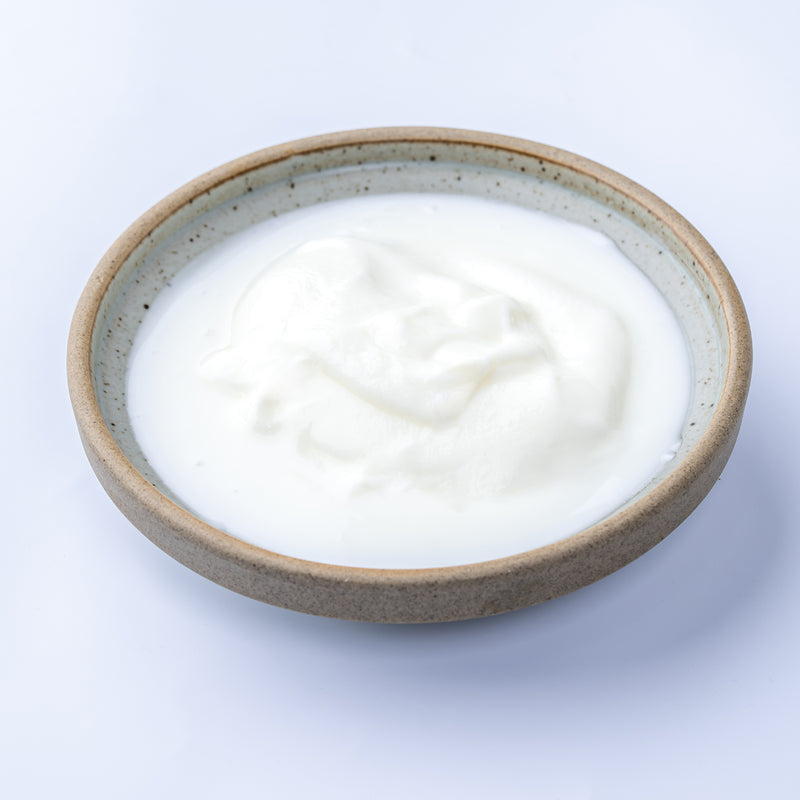 Plain Curd